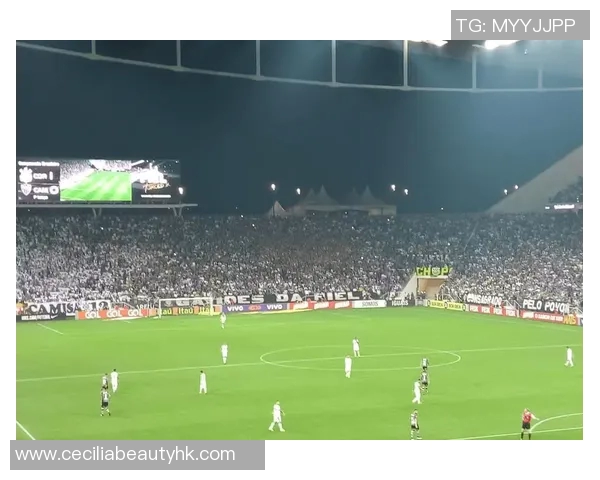 提升主场球迷氛围的策略与实践探索分享